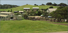 Ace Hi Riding Ranch - Accommodation Search