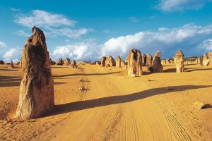 Pinnacles Desert Koalas and Sandboarding 4WD Day Tour from Perth - Accommodation Search