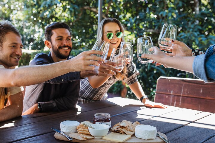 Full-day Wine-Tasting and Tamborine Mountain Tour with Lunch - Accommodation Search